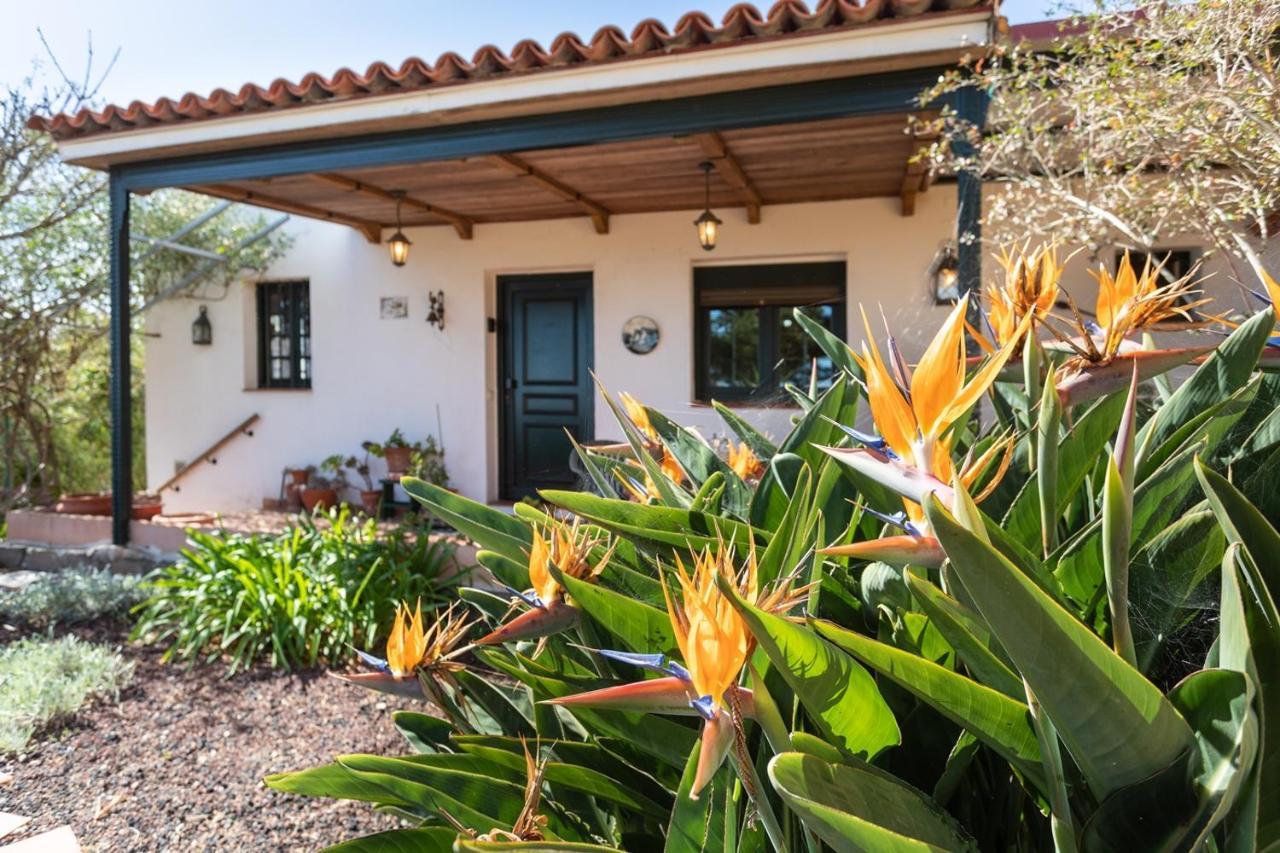 Live La Laguna Casita Vieja エクステリア 写真